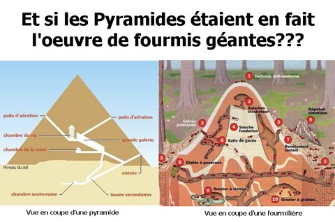 FIBqPRl8t0S_pyramides-fourmis.jpg