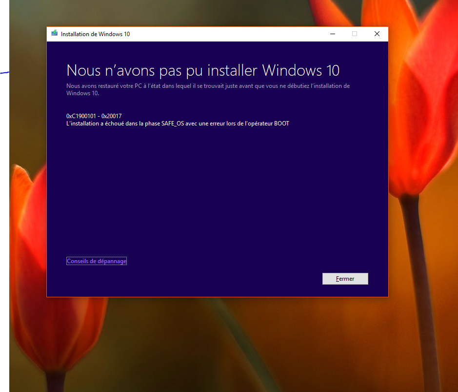 HIlnWRBWm6v_a-Refus-Installation-Windows-10.PNG