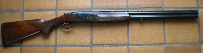 JEbk5kac5ER_Beretta-686-onix-800x200.jpg